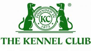 American Kennel Club : définitions et fonctions